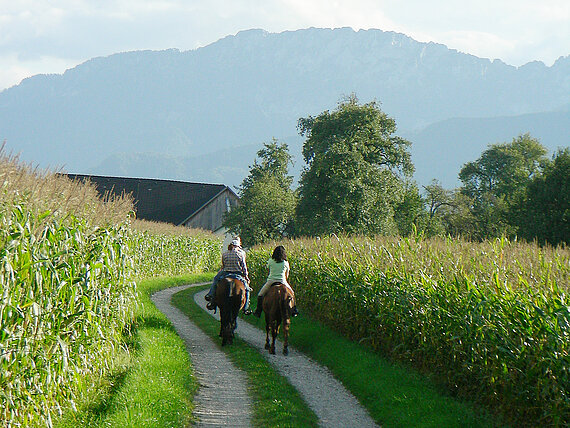 Fehringerhof - Reitwege