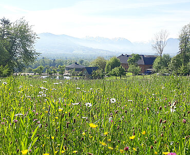 Fehringerhof - traumhafte Alleinlage