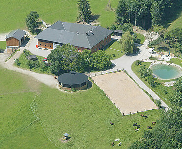 Pferdehof Auer Luftbild