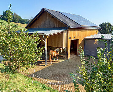 Pferdehof Trausner Auslauf