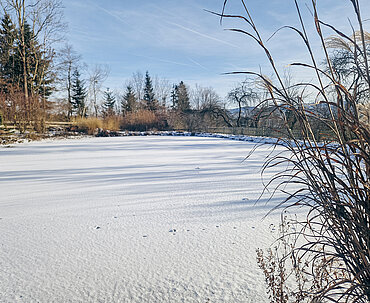 Fehringerhof Biotop Winter